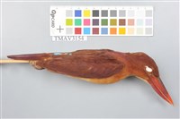 藏品(赤翡翠)的圖片